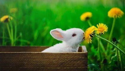 C7娱乐中国|水上运动赛事v2.5.5